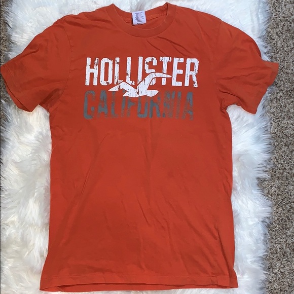 Hollister Other - $5 in any bundle! Hollister Graphic Tee